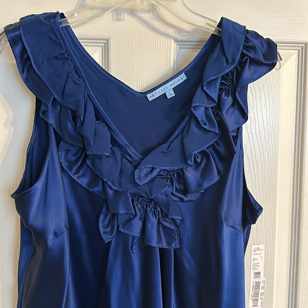 NWT-silk Antonio Melani top, sz Large.